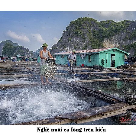 Cat Ba Hostel Cat Ba Island Zewnętrze zdjęcie