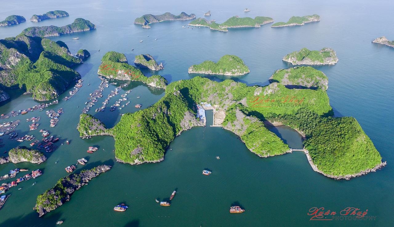 Cat Ba Hostel Cat Ba Island Zewnętrze zdjęcie