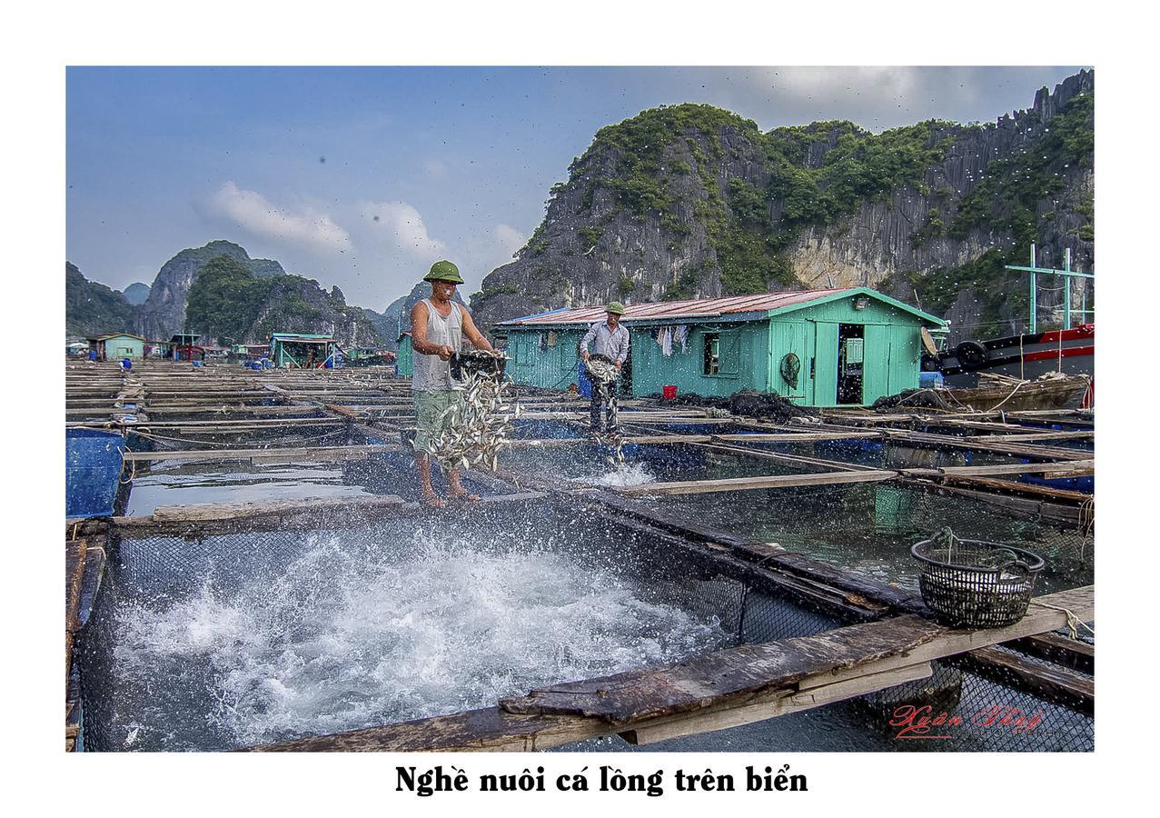Cat Ba Hostel Cat Ba Island Zewnętrze zdjęcie