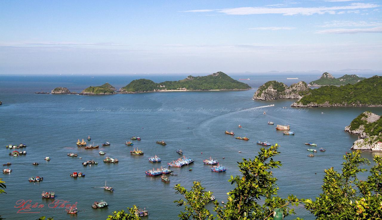 Cat Ba Hostel Cat Ba Island Zewnętrze zdjęcie