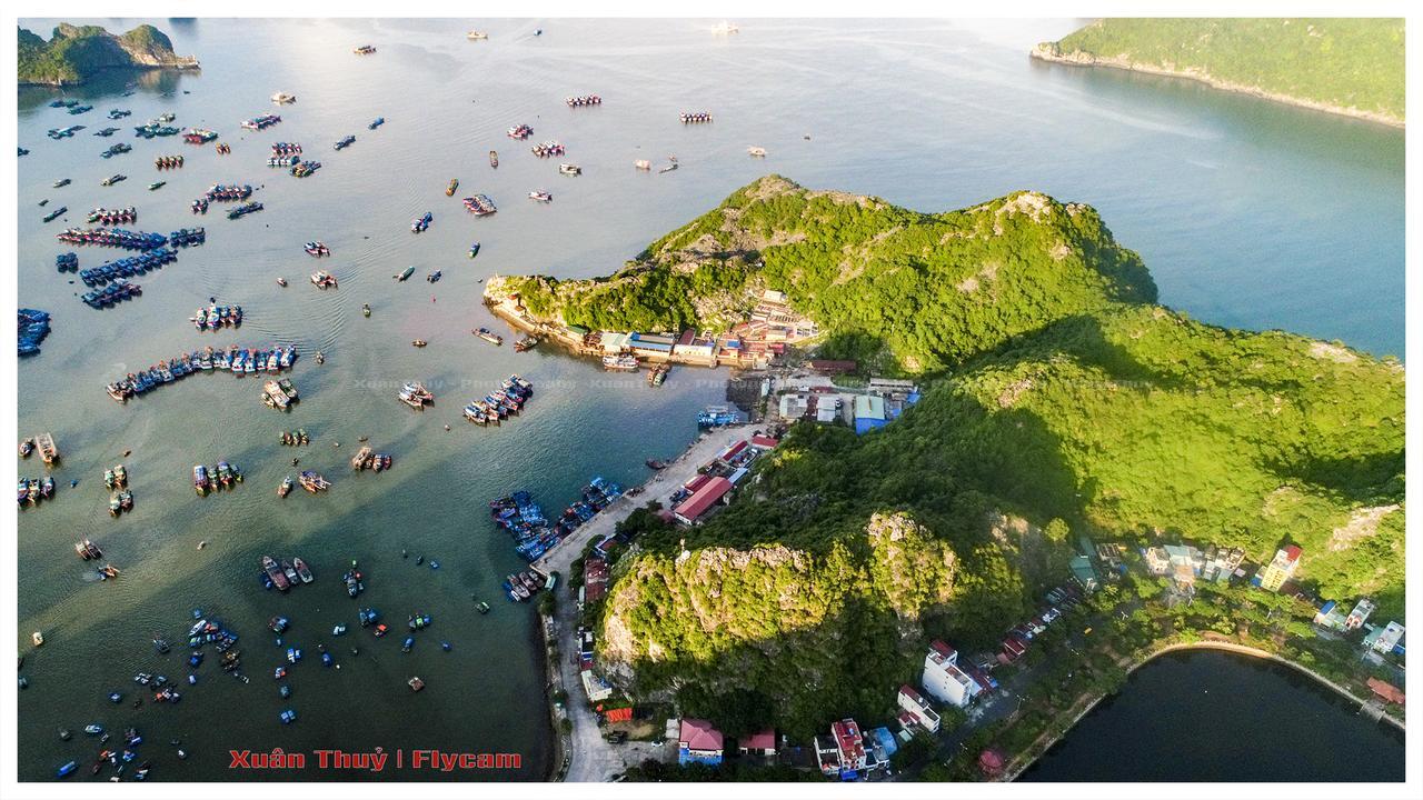 Cat Ba Hostel Cat Ba Island Zewnętrze zdjęcie